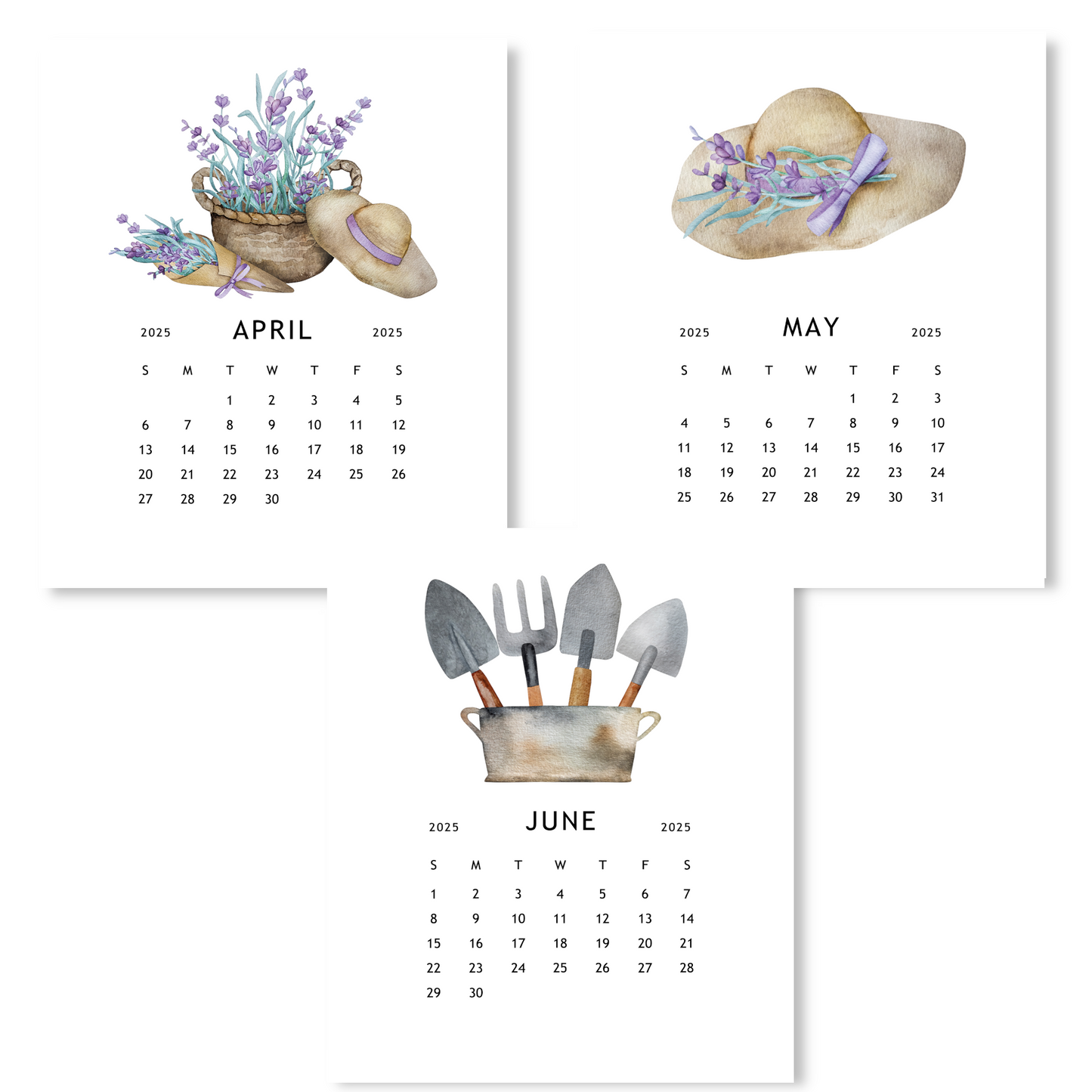 2025 Lavender Garden Calendar