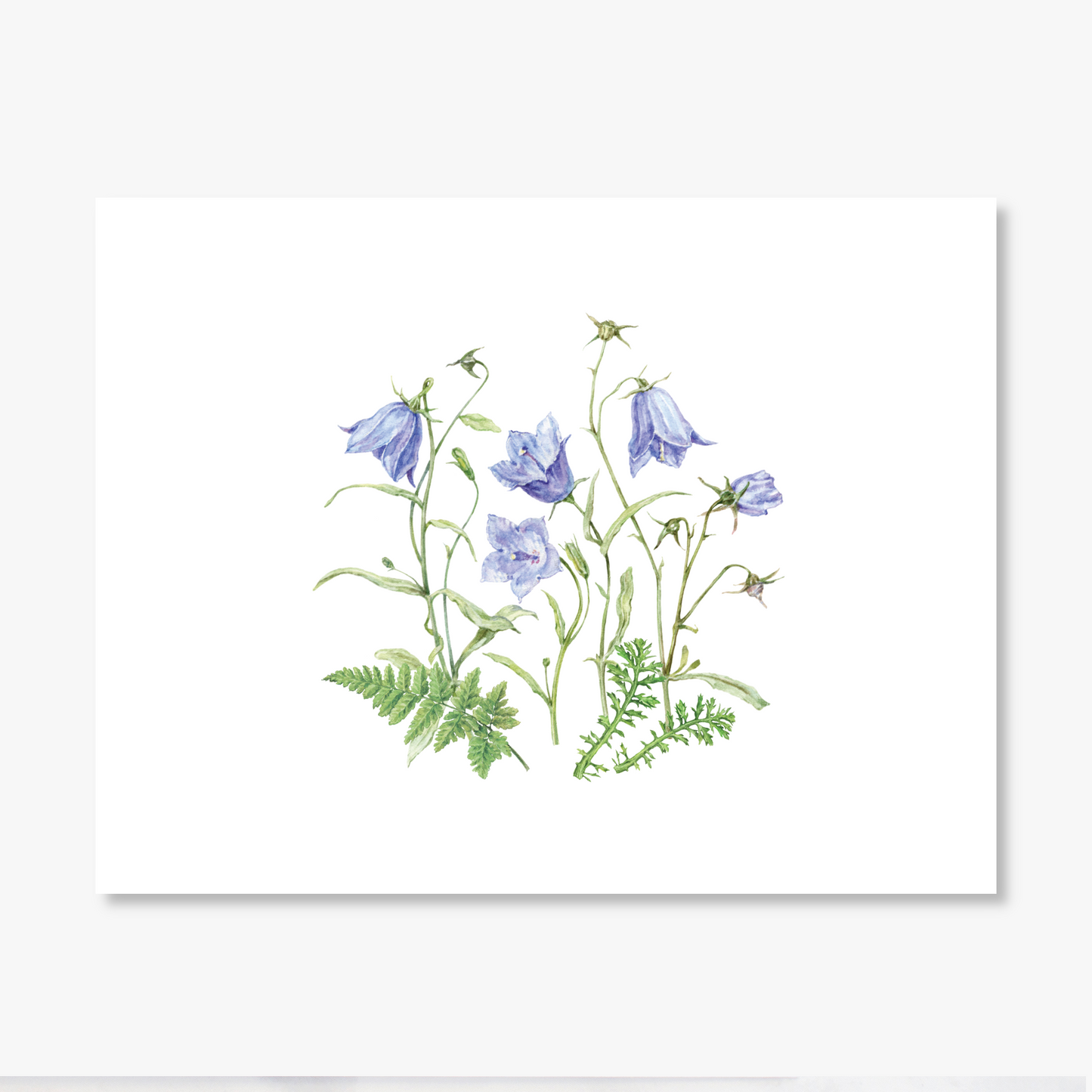 Watercolor Bellflower Personalized Thank You Note Cards