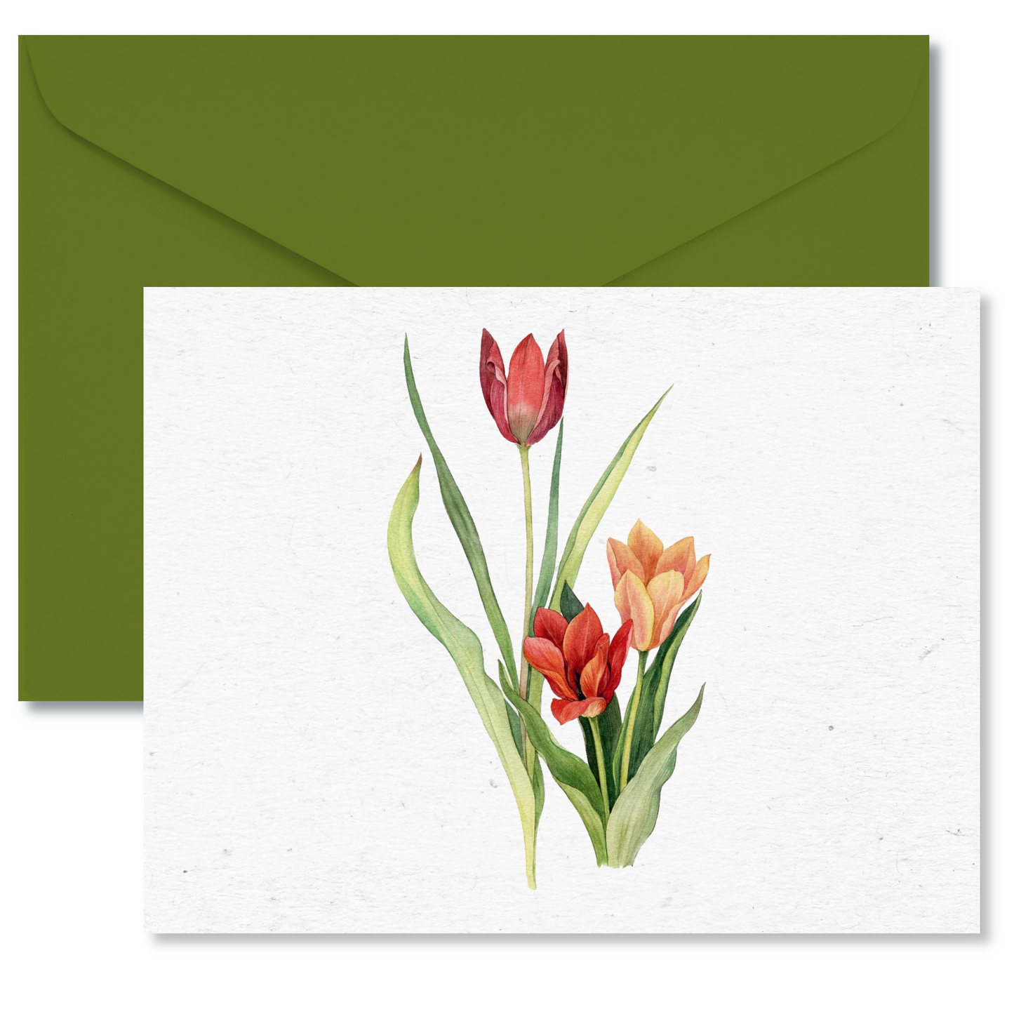 Antique Tulip Bouquet Botanical Note Cards