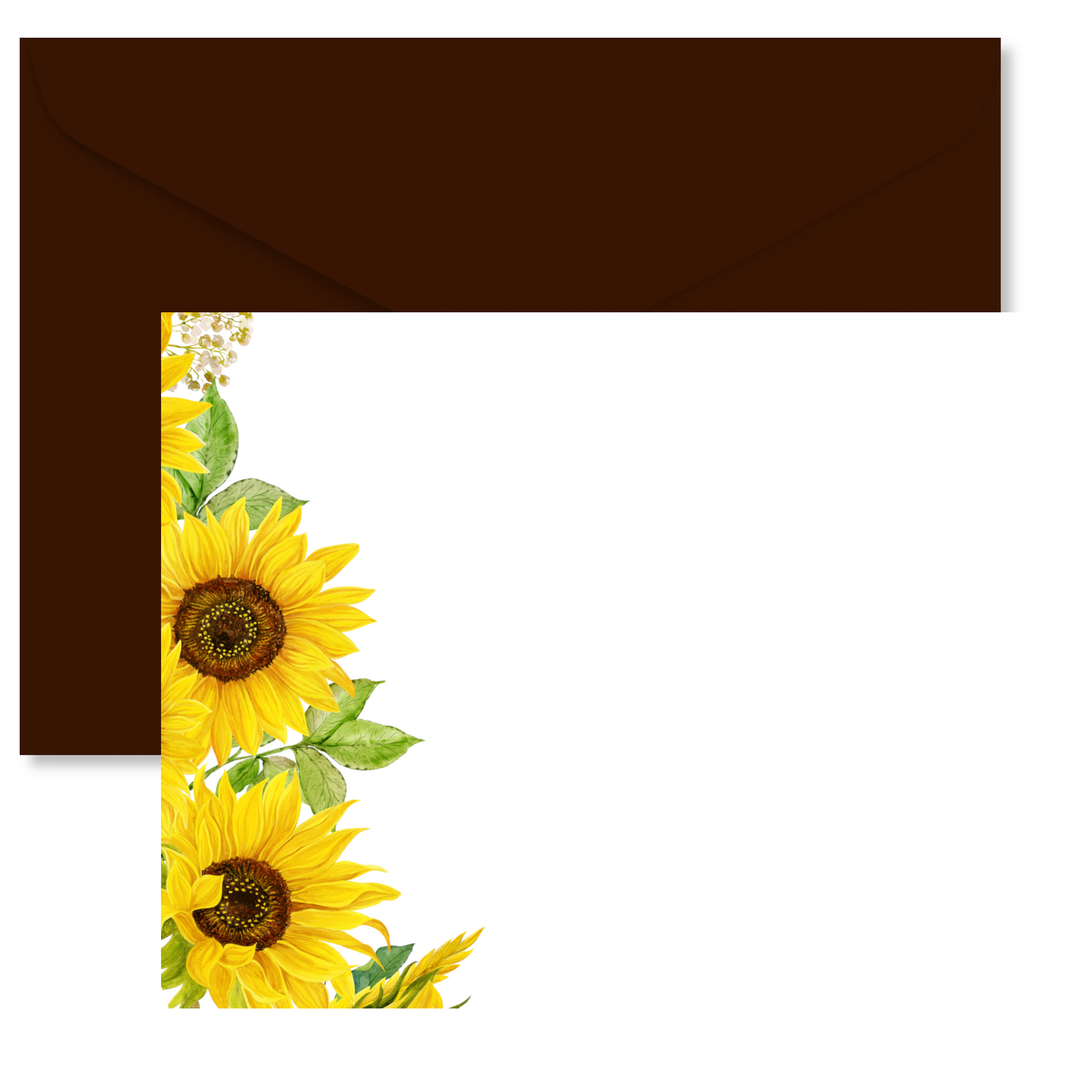 Bold Sunflower Border Flat Note Card Set