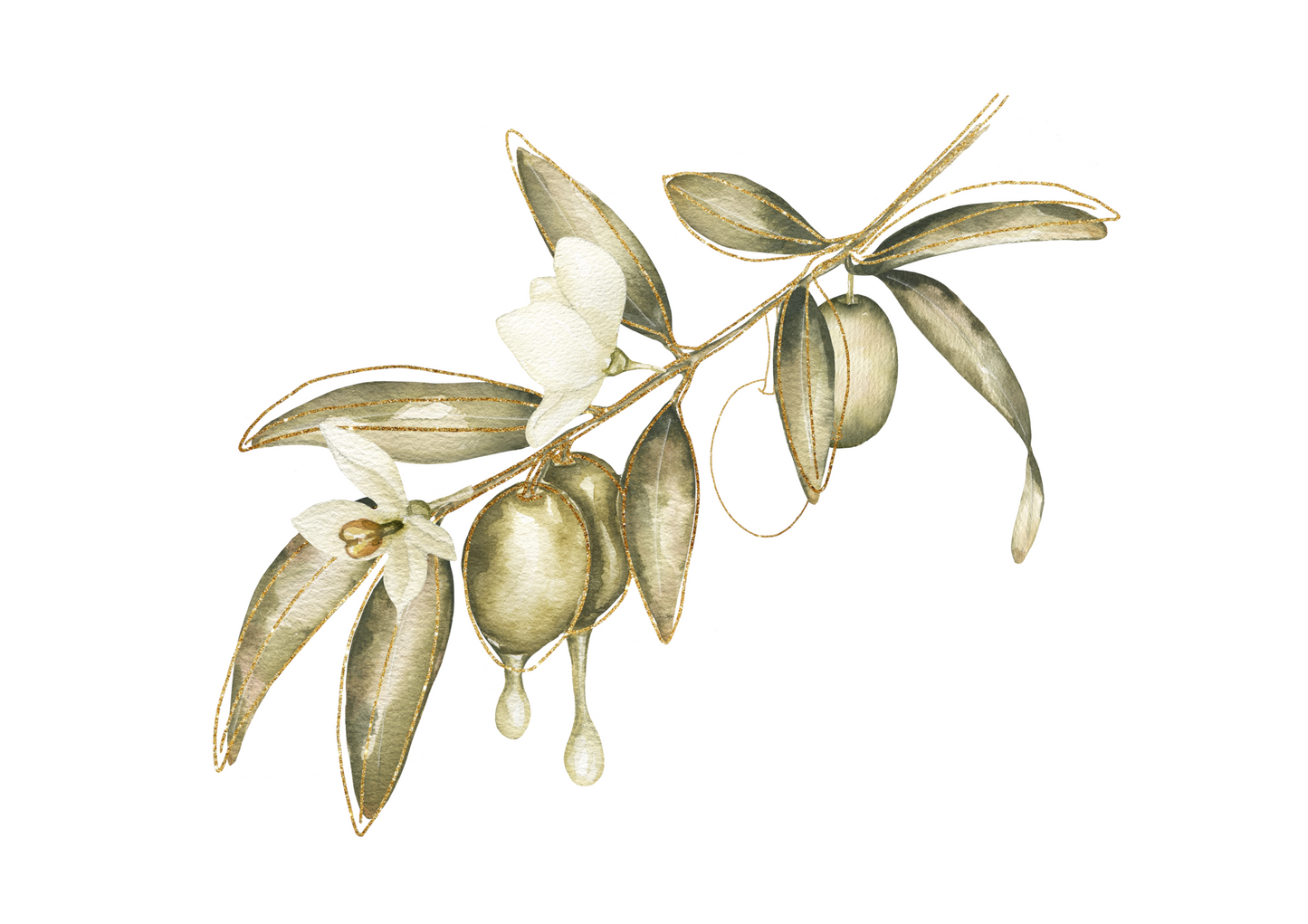 Watercolor Olives All Occasion Greeting Card