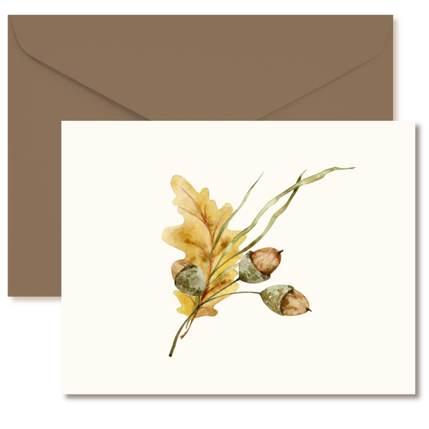 Autumn Acorn Note Cards