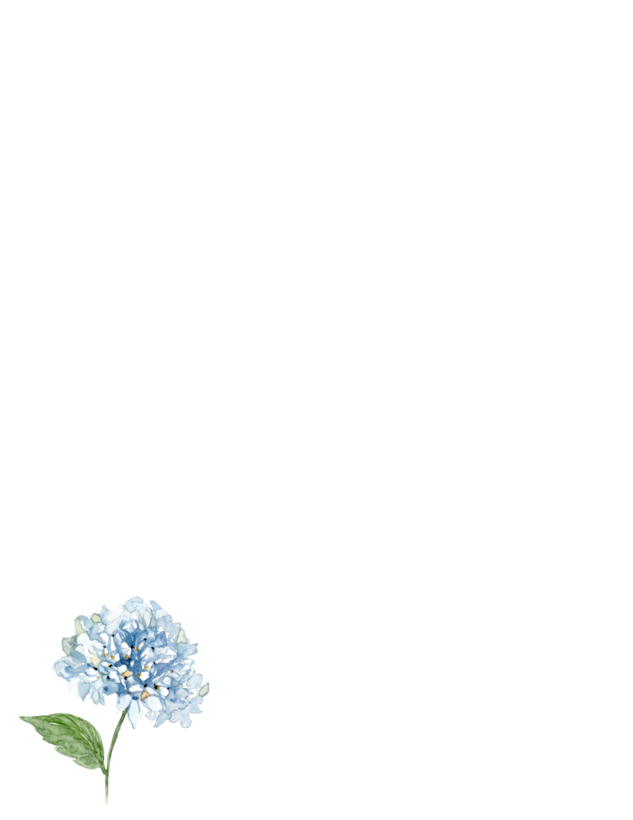 Blue Hydrangea Stationery Set