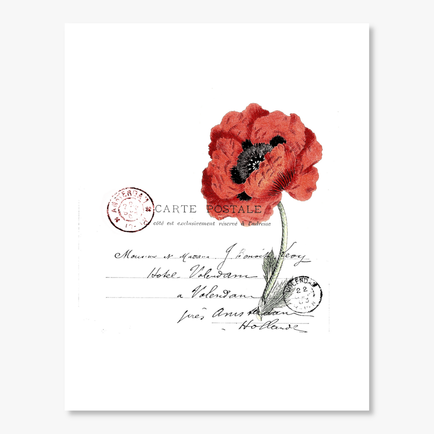 Red Poppy French Postcard Watercolor Wall Decor