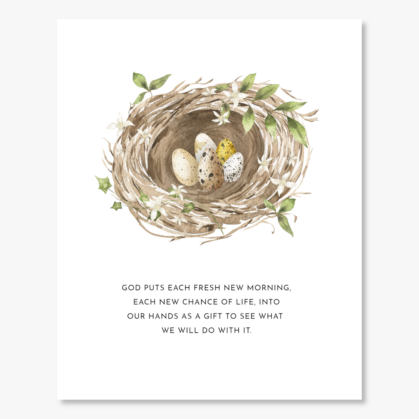 Bird's Nest Wall Print