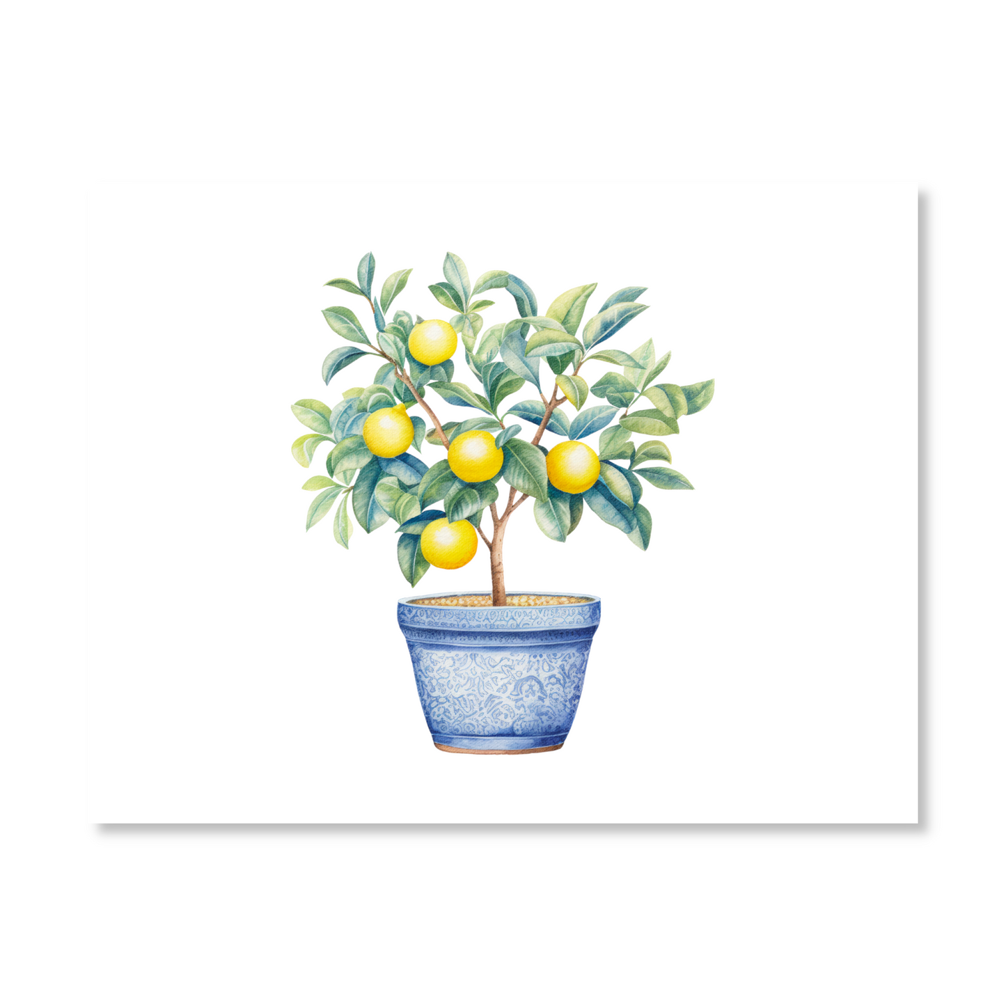 Lemon Trees Note Card Set