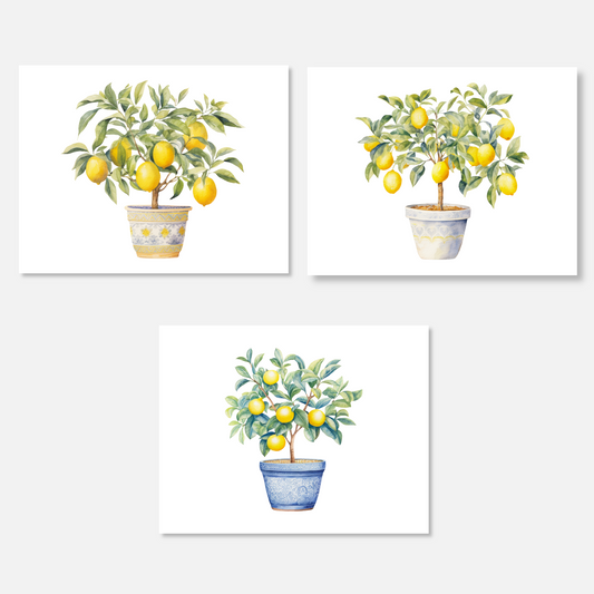 Lemon Trees Note Card Set