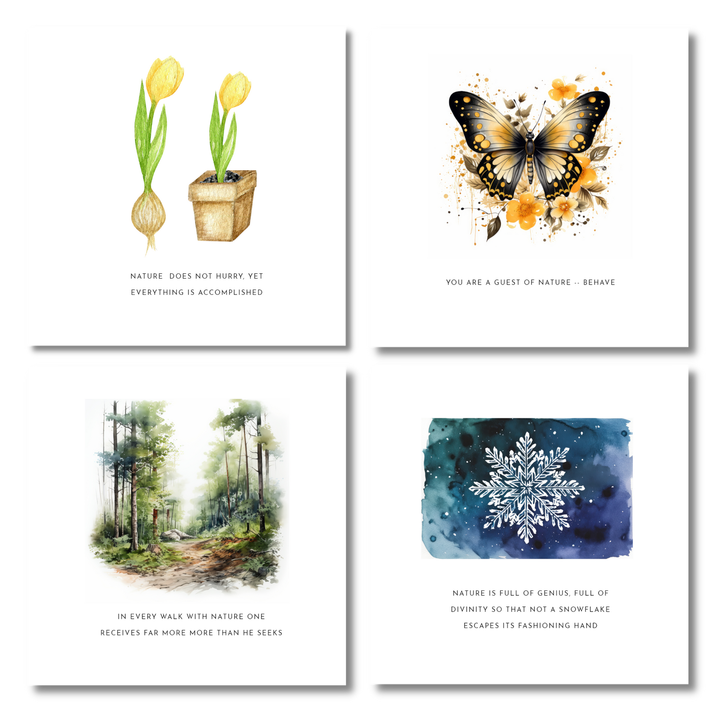 Nature's Wisdom Inspirational Cards