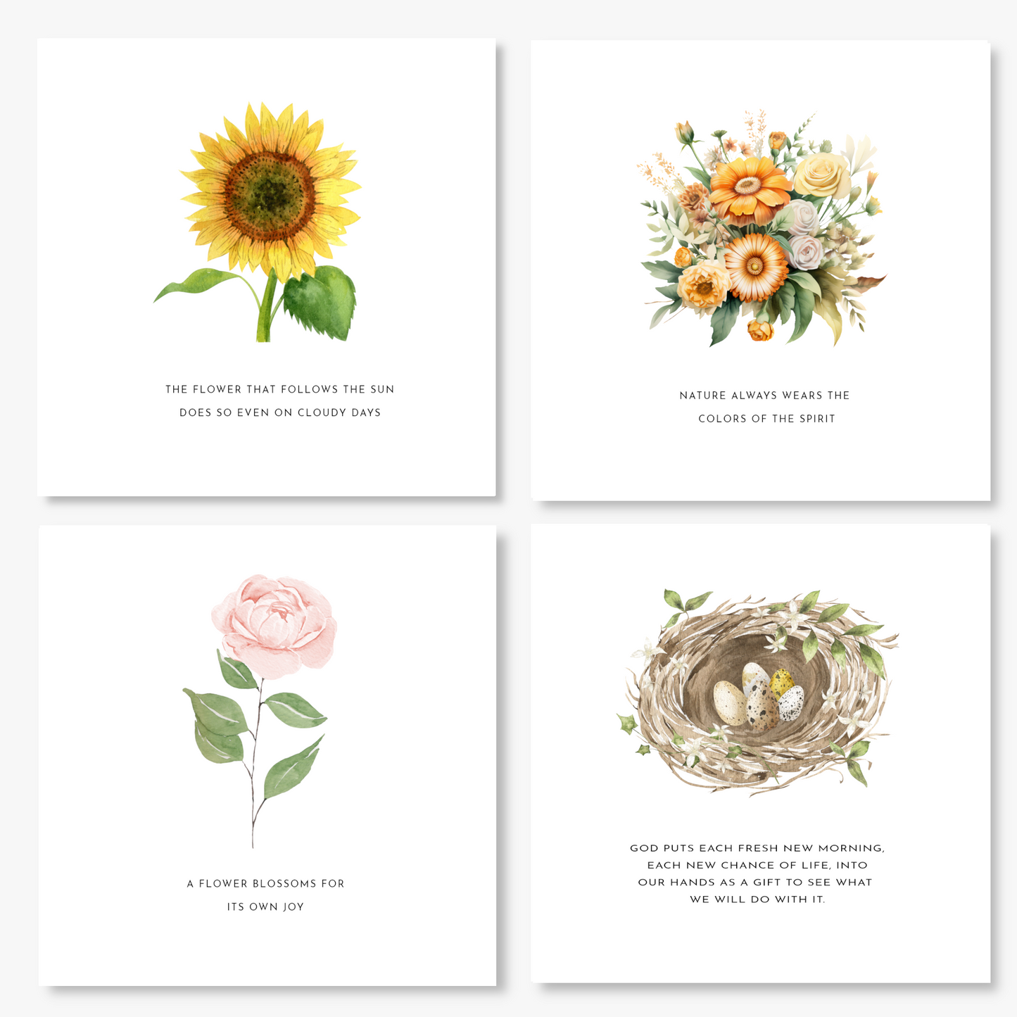 Nature's Wisdom Inspirational Cards